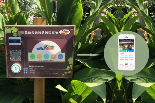 導覽系統二維碼放置 智慧景區導覽系統二維碼放置